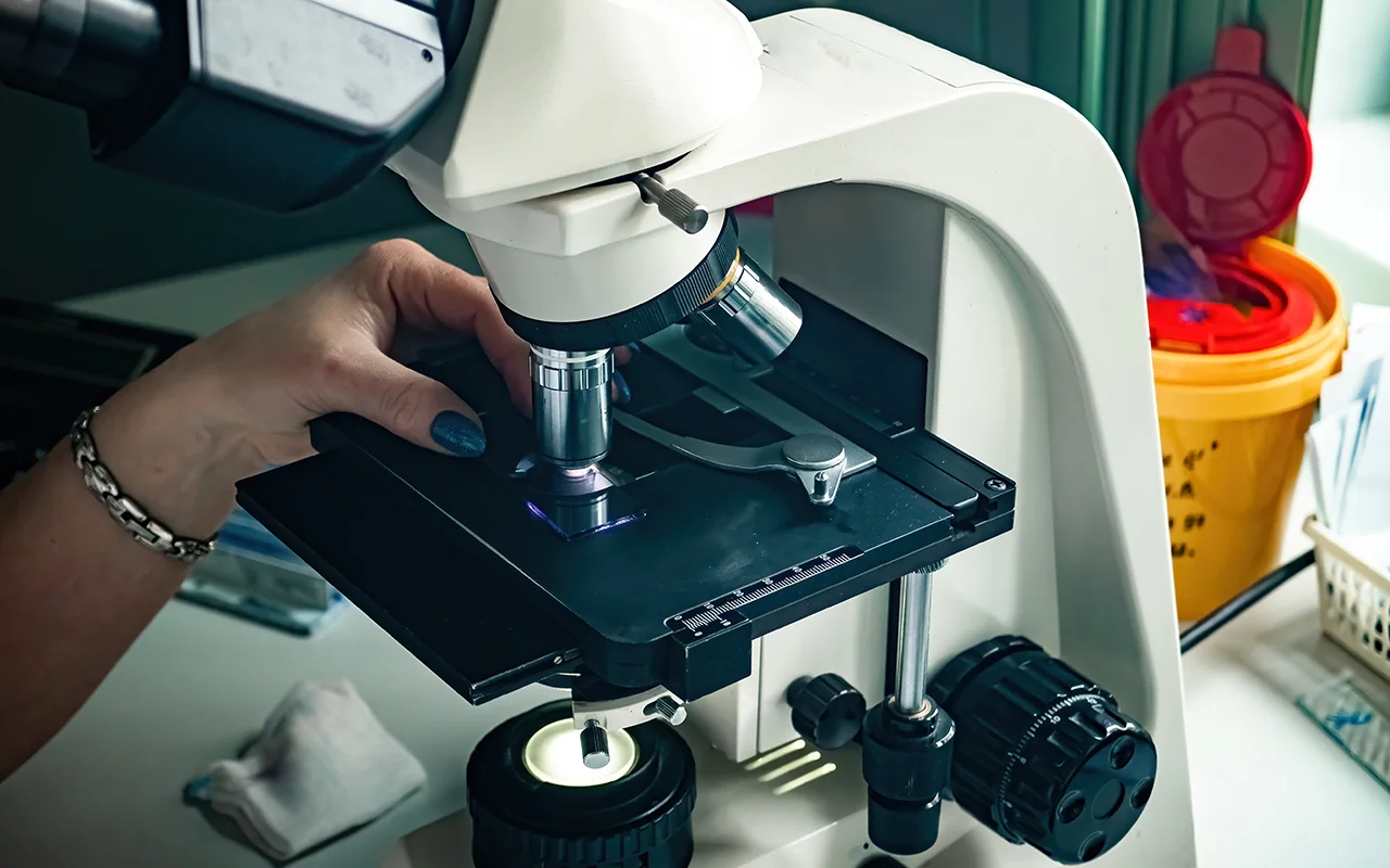 Histopathology Studies Image