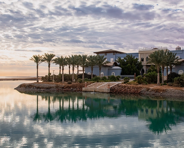 A Shared Vision Image